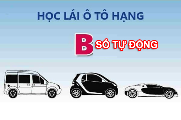 Thủ tục đăng ký học lái xe hạng B số tự động tại Hà Nội