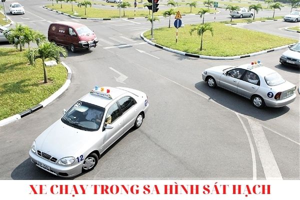 thi bằng lái xe b1 số tự động